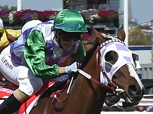 Jockey Michelle Payne of Australia (R) thunders ahead of the field on Prince of Penzance on her way to winning the Melbourne Cup at Flemington Racecourse in Melbourne on November 3, 2015. RESTRICTED TO EDITORIAL USE NO ADVERTISING USE NO PROMOTIONAL USE NO MERCHANDISING USE. AFP PHOTO/Paul CROCK