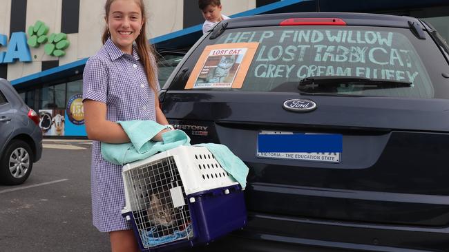 The Basin's Sienna and Declan Beck picked up their cat, Willow, from the RSPCA on November 3, 22 months after she went missing. Picture: Supplied.