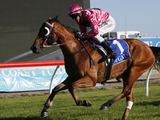 Action from the Gold Coast Turf Club at Bundall, Race Seven, the Simon Says Landscaping 1800m handicap, winner Hidden Rose, ridden by Anthony Pattilo . Photo Jerad Williams