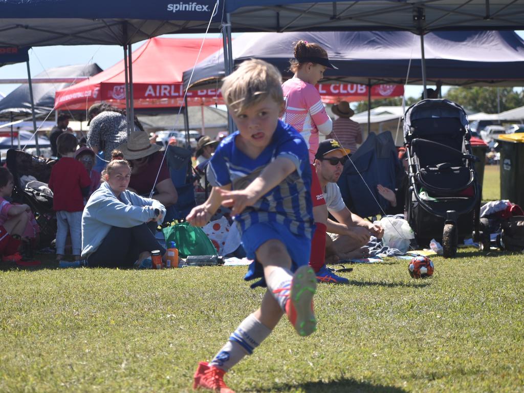 Lively Franettovich for the Dolphins in the Mackay Wanderers Muscle Garden Junior Carnival, August 8, 2021. Picture: Matthew Forrest