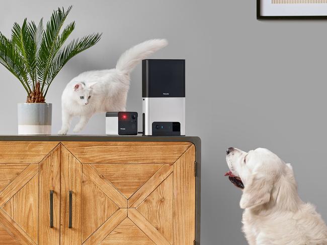 Worried about leaving your pets at home alone? These clever cameras will give you peace of mind. Image: PetCube.