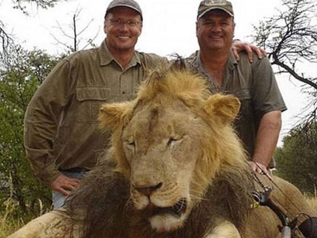 Proud hunter ... Walter Palmer poses with another lion that he killed. Picture: Supplied