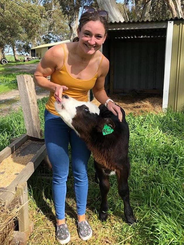 Late Adelaide veterinarian Dr Sophie Putland with a calf. Picture: Supplied by family