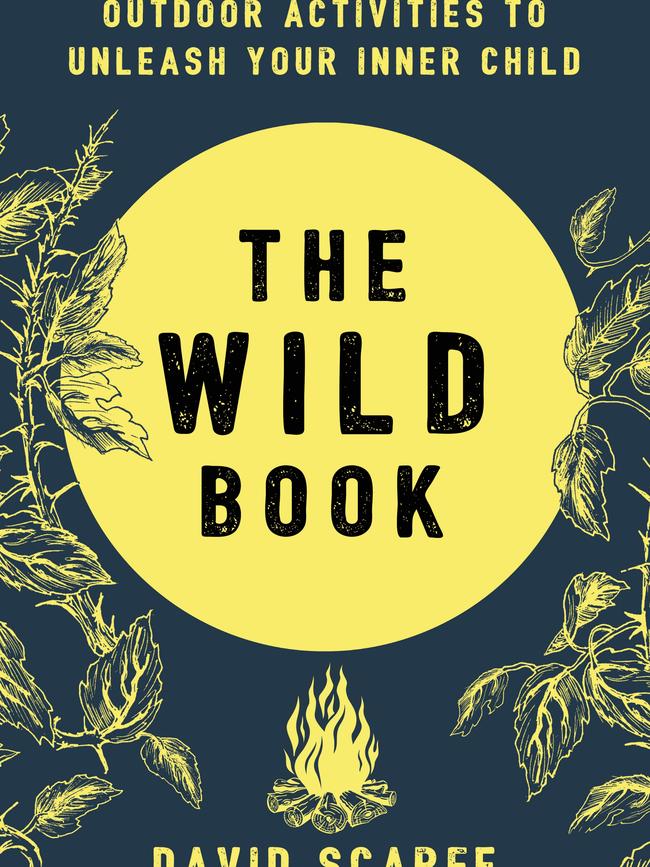 The Wild Book by David Scarfe.