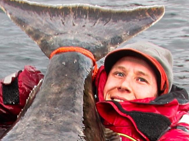 BNPS.co.uk (01202 558833)‚Ä®Pic: EricAxner/BNPS Angler Erik Axner celebrates hauling in this enormous 7ft halibut fish - by jumping in the water to pose for pictures with it. Erik was on a fishing trip with friends Jonathan Jansson and Martin Bamberg when he hooked the mammoth halibut, the world's biggest species of flatfish. The 24-year-old Swede fought the gigantic fish for over an hour before finally getting the better of it - and when he weighed it it tipped the scales at a whopping 16 stones. Because the halibut was so huge it couldn't be pulled out of the water for photos - so Erik secured the halibut to the side of the boat using rope and jumped in in his drysuit instead.