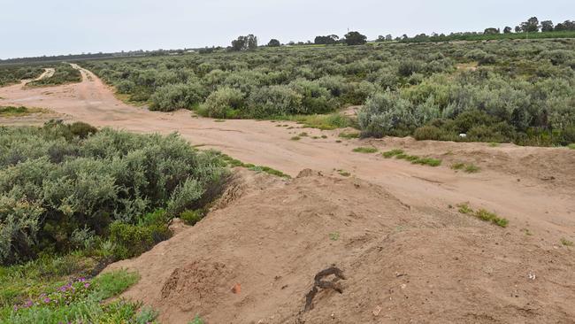 Two levees in Renmark have been deemed “not fit for purpose” as 50-year high water levels draw closer. Picture: Keryn Stevens