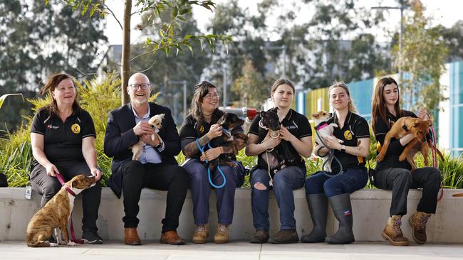 Blacktown City Mayor Brad Bunting (2nd from left) and workers at Blacktown Animal Rehoming Centre with rescue dogs. Picture: Sam Ruttyn