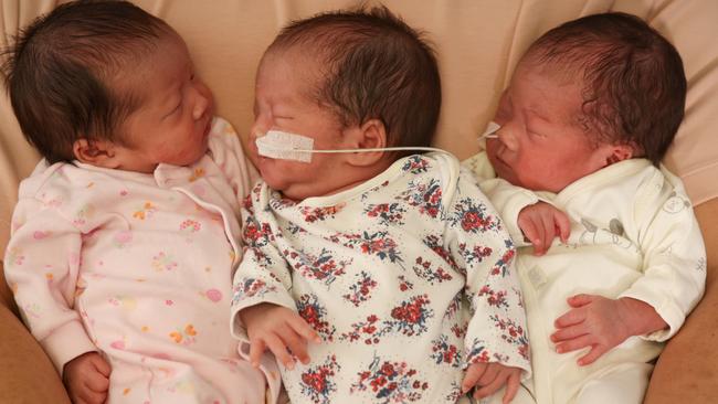 Triple treat: Hayley, Helena and Heather. Pictures: Peter Wallis