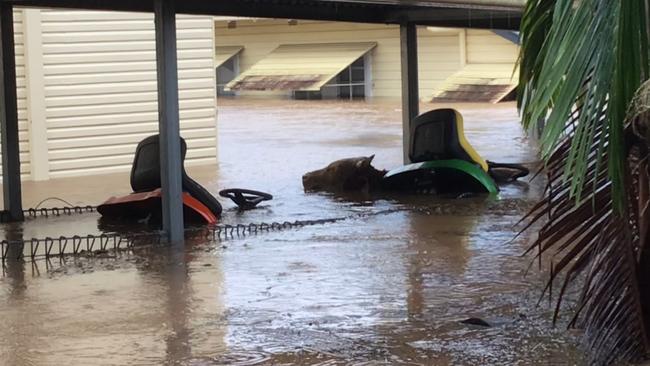 A cow floats among lawnmowers at Our Lady Help of Christians Primary School in South Lismore during the floods on February 28, 2022.