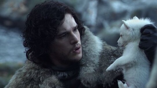 Jon Snow (Kit Harrington) finds his pet dire wolf, Ghost, as a pup in Game of Thrones. Picture: HBO