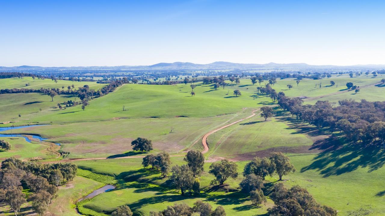 Stonehaven is a mix of undulating country with good stands of native trees and fertile creek flats and sits at the western end of the Billabong Valley.