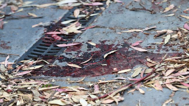 Pools of blood could still be seen on the driveway where Burdon was captured. Picture: Tait Schmaal.