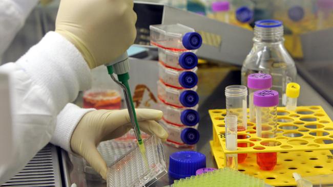 06 Nov 2006 - Replikun Biotech to help vaccine research at UQ - Generic laboratory - PicBruce/Long test tubes gloved hands