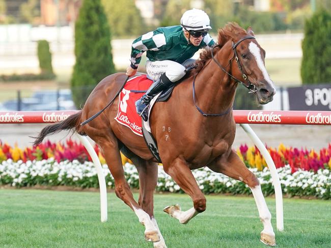 Yulong Command ridden by Matthew Cartwright wins at Moonee Valley. Picture: Scott Barbour