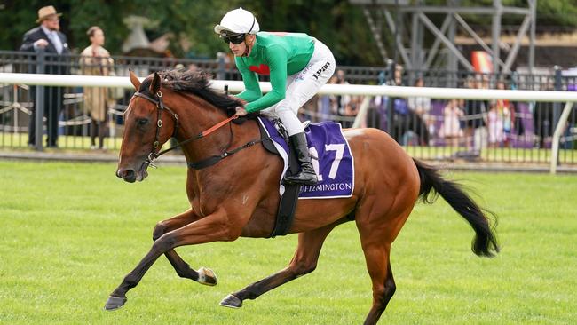 Maurice's Medad looks a good chance in the Albury Cup. Picture: Getty Images