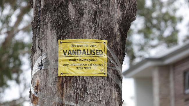 The council has posted signs up about the vandalism. Just beneath the sign vandals have drilled two holes and filled them with poison. Picture: Timothy Clapin