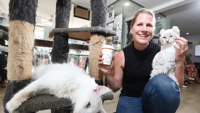 Surfers Paradise's Crazy Cat Cafe owner Jackie Moureau with Andy the Tundra Cat. Photograph: Jason O'Brien