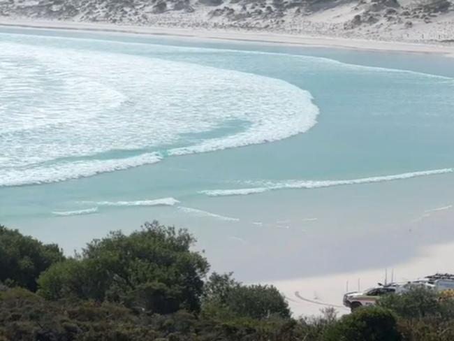 There were several other surfers in the area at the time the shark attacked. Picture: 9News