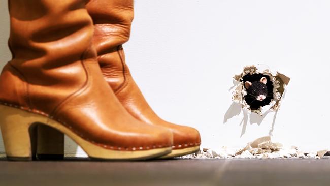 Visitor viewing Ryan Gander’s work, The end, at NGV. Picture: Aaron Francis