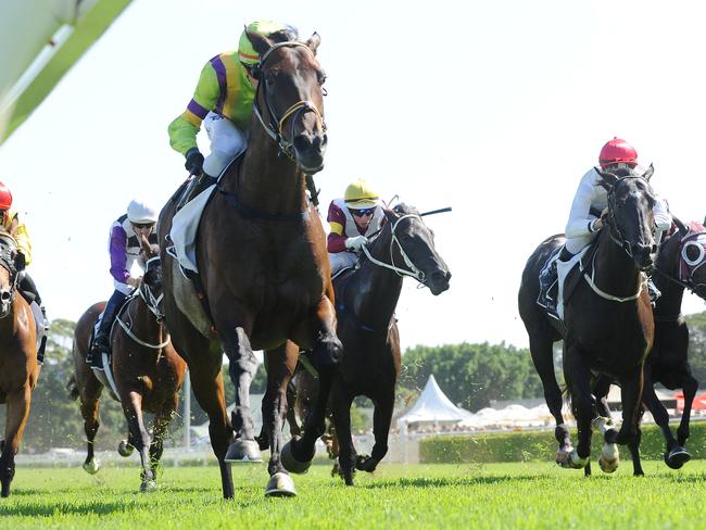 Solicit doesn’t have Winx to contend with this time around as she takes out the Guy Walter Stakes. Picture: Simon Bullard