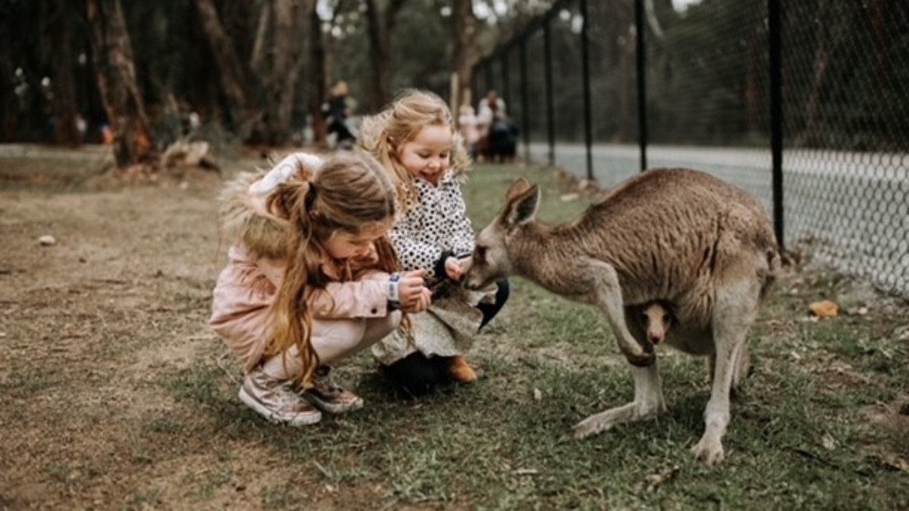 Indie celebrated her fourth birthday at Gumbuya World, where she and older sister Harlie fed the kangaroos. Picture: Supplied/Belinda Denney.