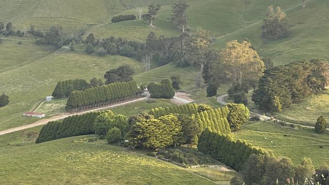 Selective grazing has helped to transform the land at Glendalough Farm, with a gravity-fed water supply planned. Picture: Supplied