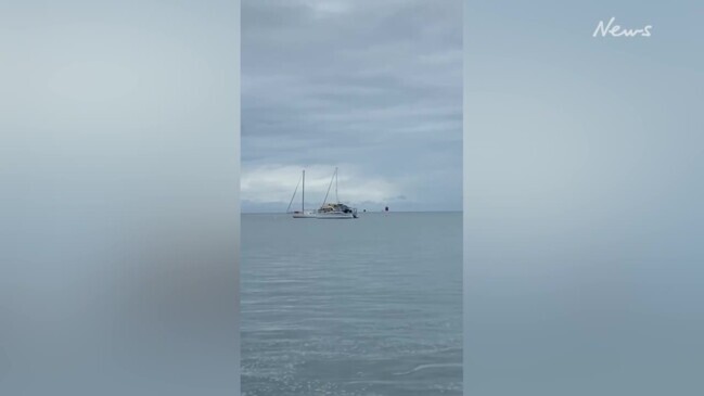 More video emerges of Straddie crocodile