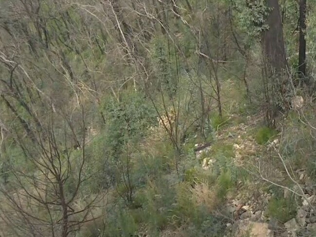 The embankment where the man is alleged to have thrown his mother down. SUPPLIED via NCA NewsWire