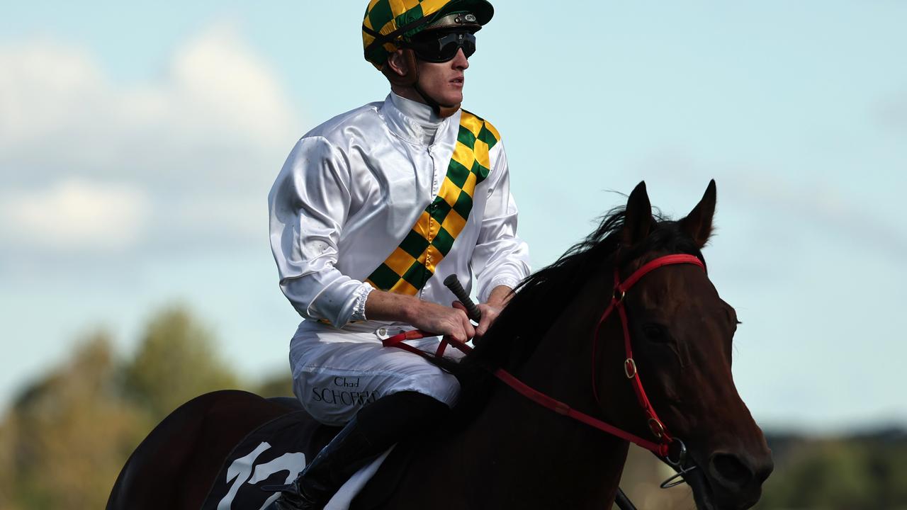 City Of Lights after winning her first Group race in the Hawkesbury Crown. Picture: Jeremy Ng/Getty Images