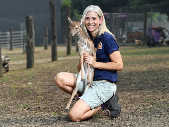 Animal keeper Jo Barden holds abandoned fawn Willow at the The Big Goose in Moorooduc. Picture: Julian Smith