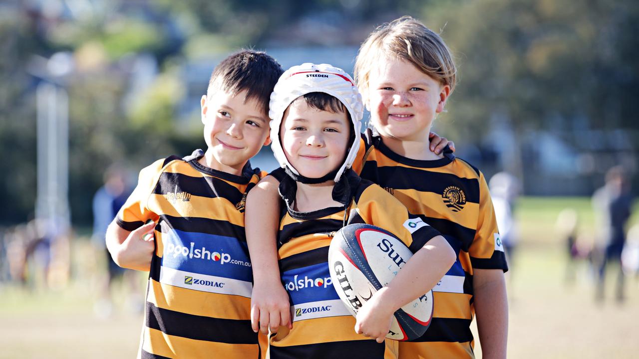 Narrabeen Tigers host Inter-District Minis Rugby Gala Day | Daily Telegraph