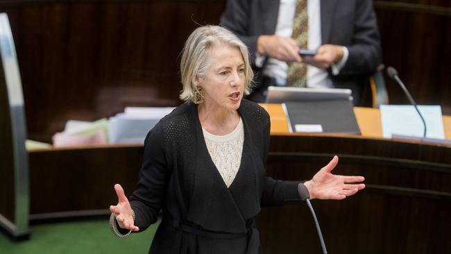 Greens MP Rosalie Woodruff said the $5000 cap was “ludicrous”.