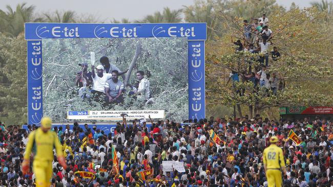 Sri Lankan fans watched from anywhere they could.