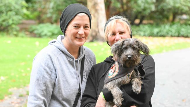 Million Paws Walk at Adelaide Botanic Gardens. Picture: Brenton Edwards