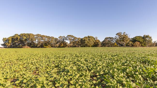 A southeast South Australian farming family is understood to have purchased Jemalong.