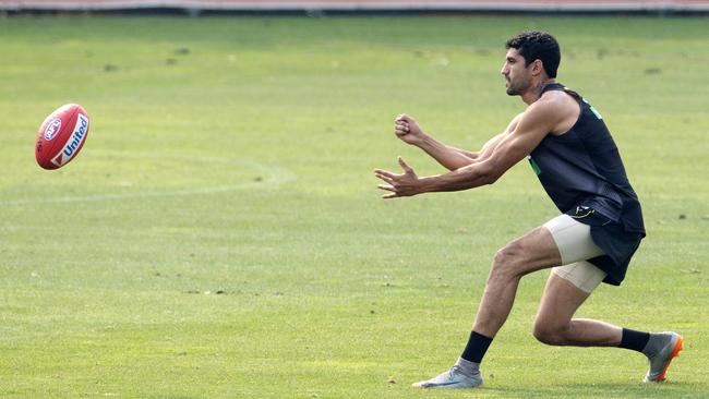Richmond’s grand final hero Marlion Pickett. Picture: Sarah Matray