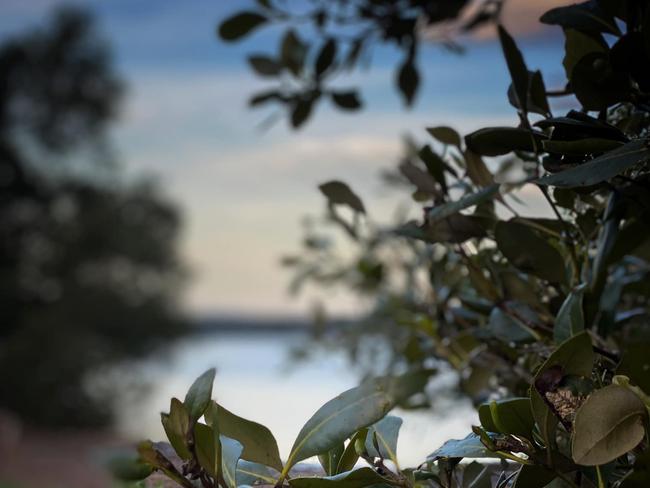 The Kincumber to Davistown foreshore path is used by hundreds of people. Picture: Facebook