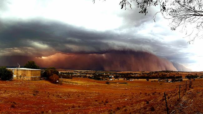 A massive dust storm rolls into Canowindra, near Orange, in NSW. Picture: Jamie Anderson