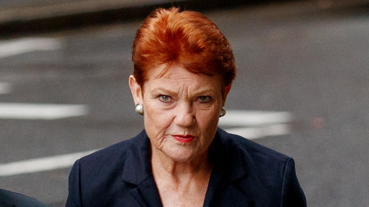 Senator Pauline Hanson is being sued by her colleague Senator Mehreen Faruqi over a tweet. Picture: NCA NewsWire / Nikki Short