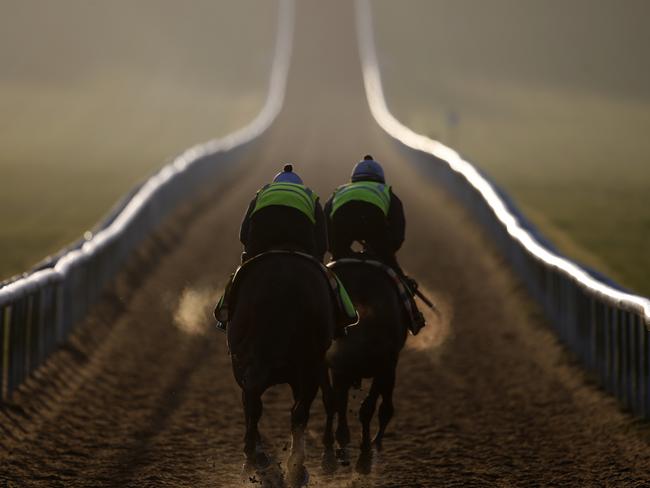 NEWMARKET, ENGLAND - APRIL 13: Racehorses climb the Warren Hill gallop on April 13, 2017 in Newmarket, England. (Photo by Alan Crowhurst/Getty Images) *** BESTPIX ***