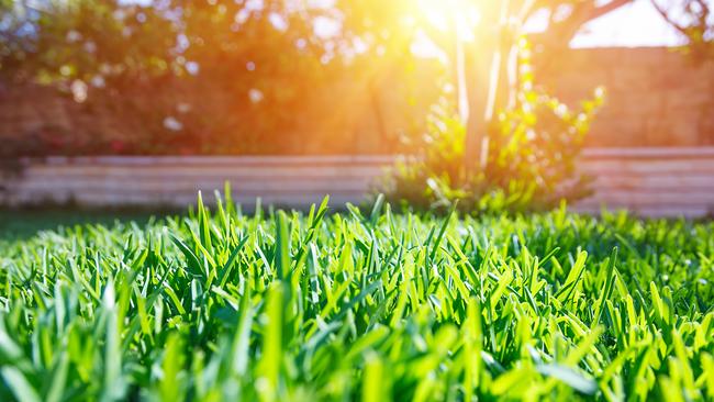 Jarrad Garth did landscaping work for a woman before he allegedly obtained about $200,000 from her by deception.