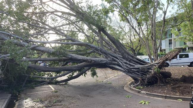 The storm caused a tree on Vimy Lane, Parap, to fall over on Saturday, October 8. Picture: Brent Potter