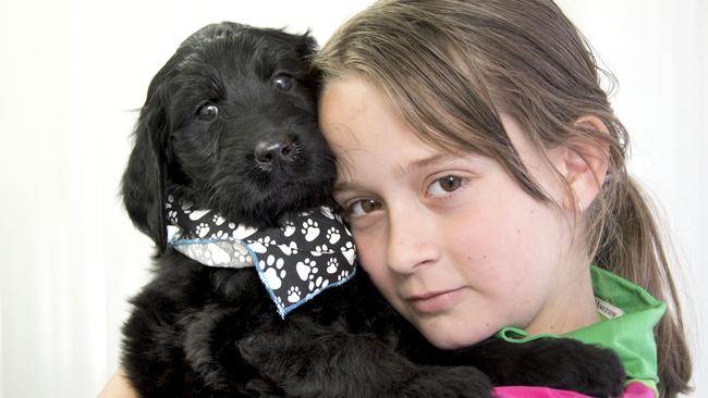 PUPPY LOVE: Esther Wright with the unnamed Australian labradoodle who is being trained as a therapy dog.Picture: Bev Lacey.