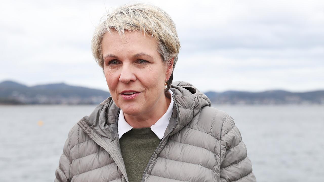 Federal Environment Minister Tanya Plibersek in Hobart in relation to the spotted handfish. Picture: Nikki Davis-Jones