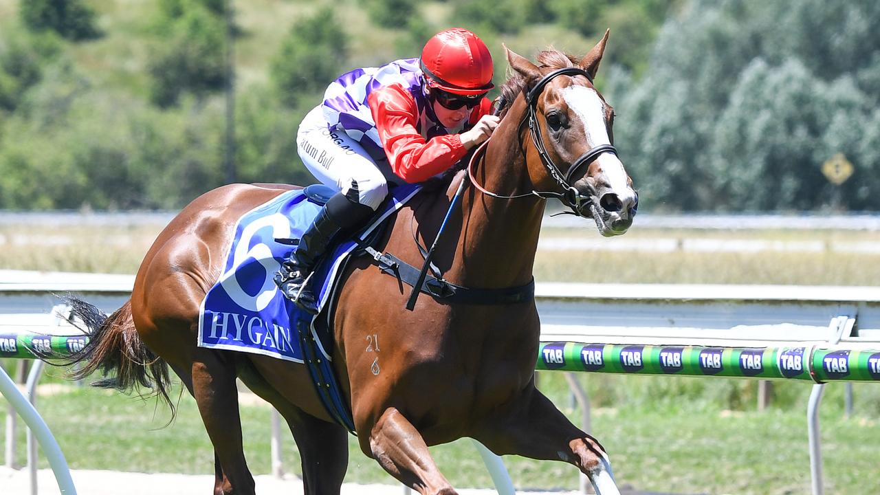 Miranda Park Stud Fillies and Mares Maiden Plate