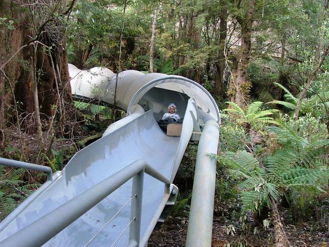 110m slide at Dismal Swamp, Tasmania./Tasmania