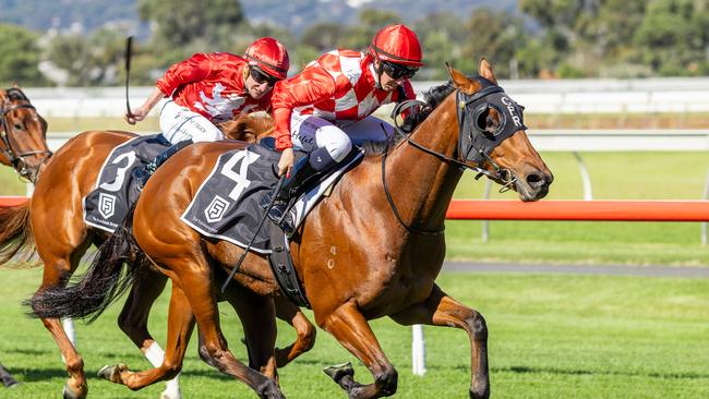 Sir Sway wins the Listed Redelva Stakes in April at Morphettville. Picture: Makoto Kaneko