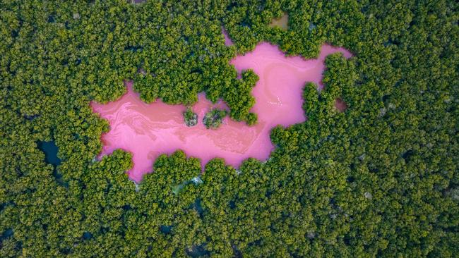 Unique conditions in temperature, minerals, and algae turn this lagoon in Colombia pink. Photographer Felipe Santander spent four days and 15 drone batteries to capture the perfect shot, complete with the formation of birds flying over the pink lake. Picture: Felipe Santander