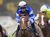 Trainer happy with Gytrash despite trial defeat