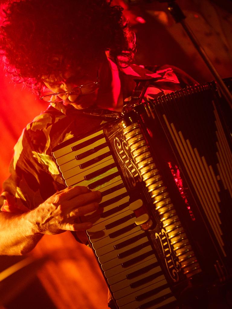 Daniel Radcliffe plays the piano accordion in Weird: The Al Yankovic Story.